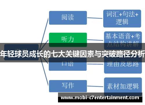 年轻球员成长的七大关键因素与突破路径分析