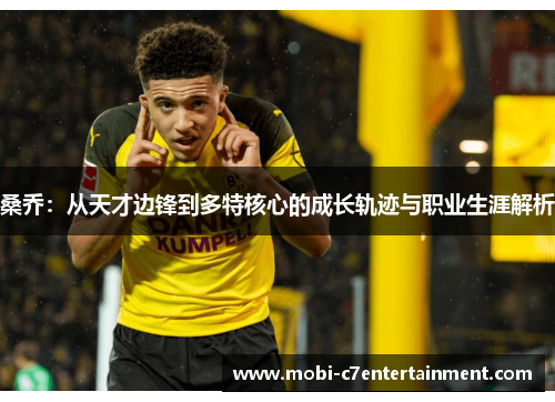 桑乔:从天才边锋到多特核心的成长轨迹与职业生涯解析 桑乔:从天才边锋到多特核心的成长轨迹与职业生涯解析