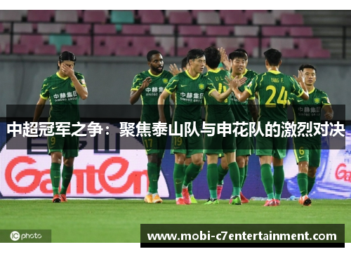 中超冠军之争：聚焦泰山队与申花队的激烈对决