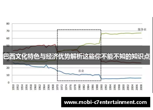 巴西文化特色与经济优势解析这些你不能不知的知识点