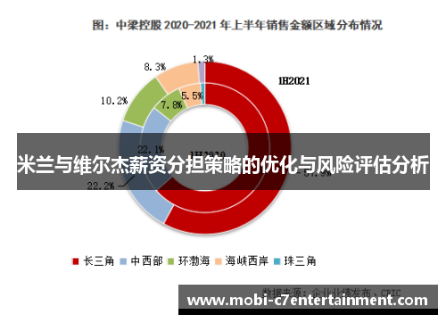 米兰与维尔杰薪资分担策略的优化与风险评估分析 米兰与维尔杰薪资分担策略的优化与风险评估分析
