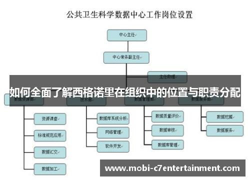 如何全面了解西格诺里在组织中的位置与职责分配 如何全面了解西格诺里在组织中的位置与职责分配
