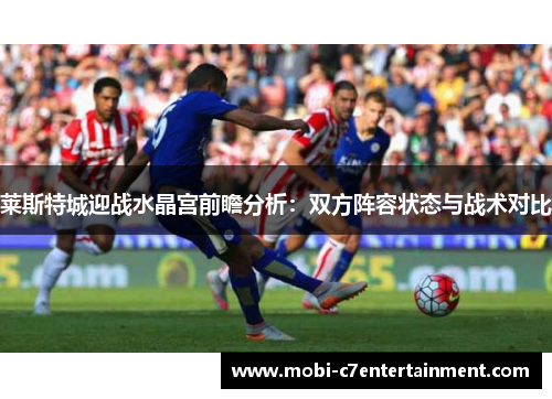 莱斯特城迎战水晶宫前瞻分析:双方阵容状态与战术对比 莱斯特城迎战水晶宫前瞻分析:双方阵容状态与战术对比