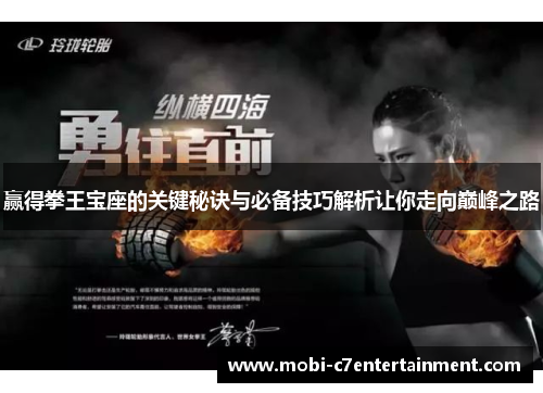 赢得拳王宝座的关键秘诀与必备技巧解析让你走向巅峰之路