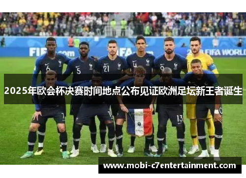 2025年欧会杯决赛时间地点公布见证欧洲足坛新王者诞生