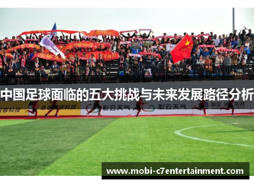 中国足球面临的五大挑战与未来发展路径分析