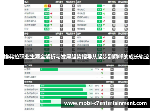 埃弗拉职业生涯全解析与发展趋势指导从起步到巅峰的成长轨迹