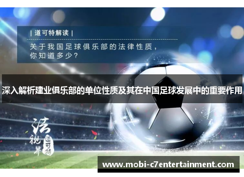 深入解析建业俱乐部的单位性质及其在中国足球发展中的重要作用