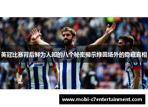 英冠比赛背后鲜为人知的八个秘密揭示绿茵场外的隐藏真相