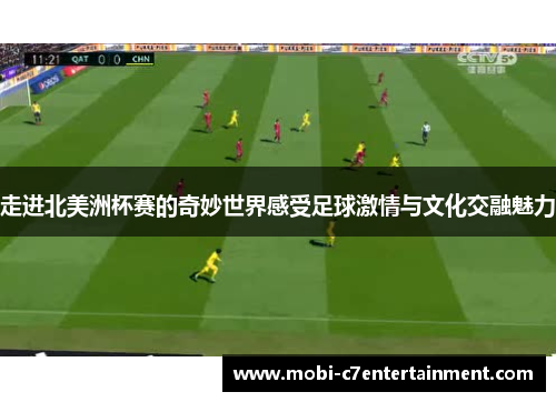 走进北美洲杯赛的奇妙世界感受足球激情与文化交融魅力