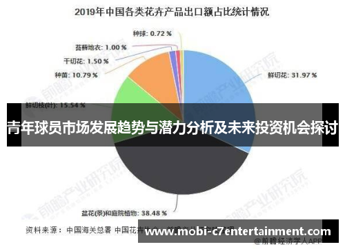 青年球员市场发展趋势与潜力分析及未来投资机会探讨