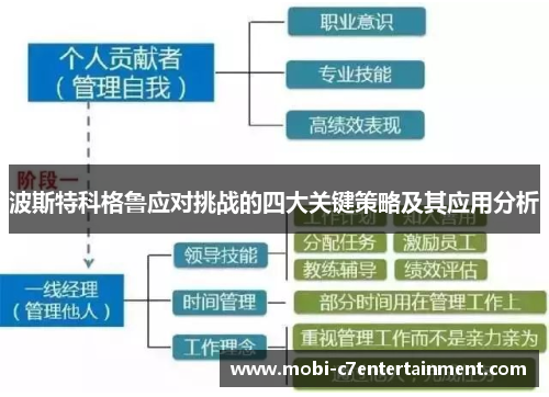 波斯特科格鲁应对挑战的四大关键策略及其应用分析 波斯特科格鲁应对挑战的四大关键策略及其应用分析