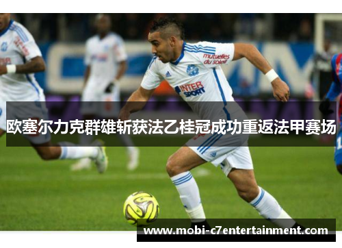 欧塞尔力克群雄斩获法乙桂冠成功重返法甲赛场 欧塞尔力克群雄斩获法乙桂冠成功重返法甲赛场