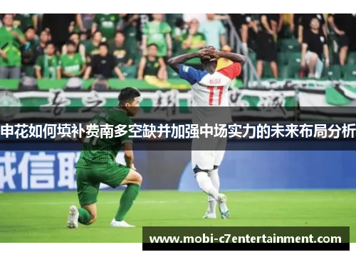 申花如何填补费南多空缺并加强中场实力的未来布局分析 申花如何填补费南多空缺并加强中场实力的未来布局分析