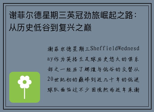 谢菲尔德星期三英冠劲旅崛起之路:从历史低谷到复兴之巅 谢菲尔德星期三英冠劲旅崛起之路:从历史低谷到复兴之巅