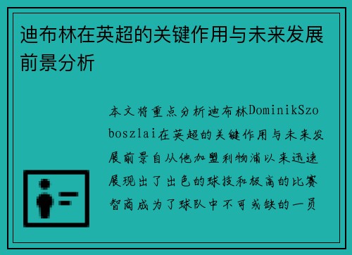 迪布林在英超的关键作用与未来发展前景分析 迪布林在英超的关键作用与未来发展前景分析